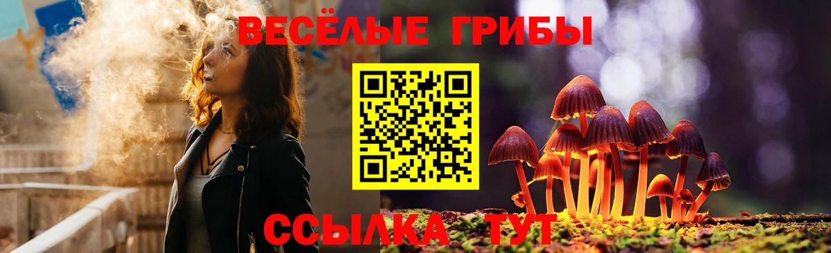 где найти   Вход с VPN  Псилоцибиновые грибы Cubensis  Лянтор  Галлюциногенные грибы ЛСД 